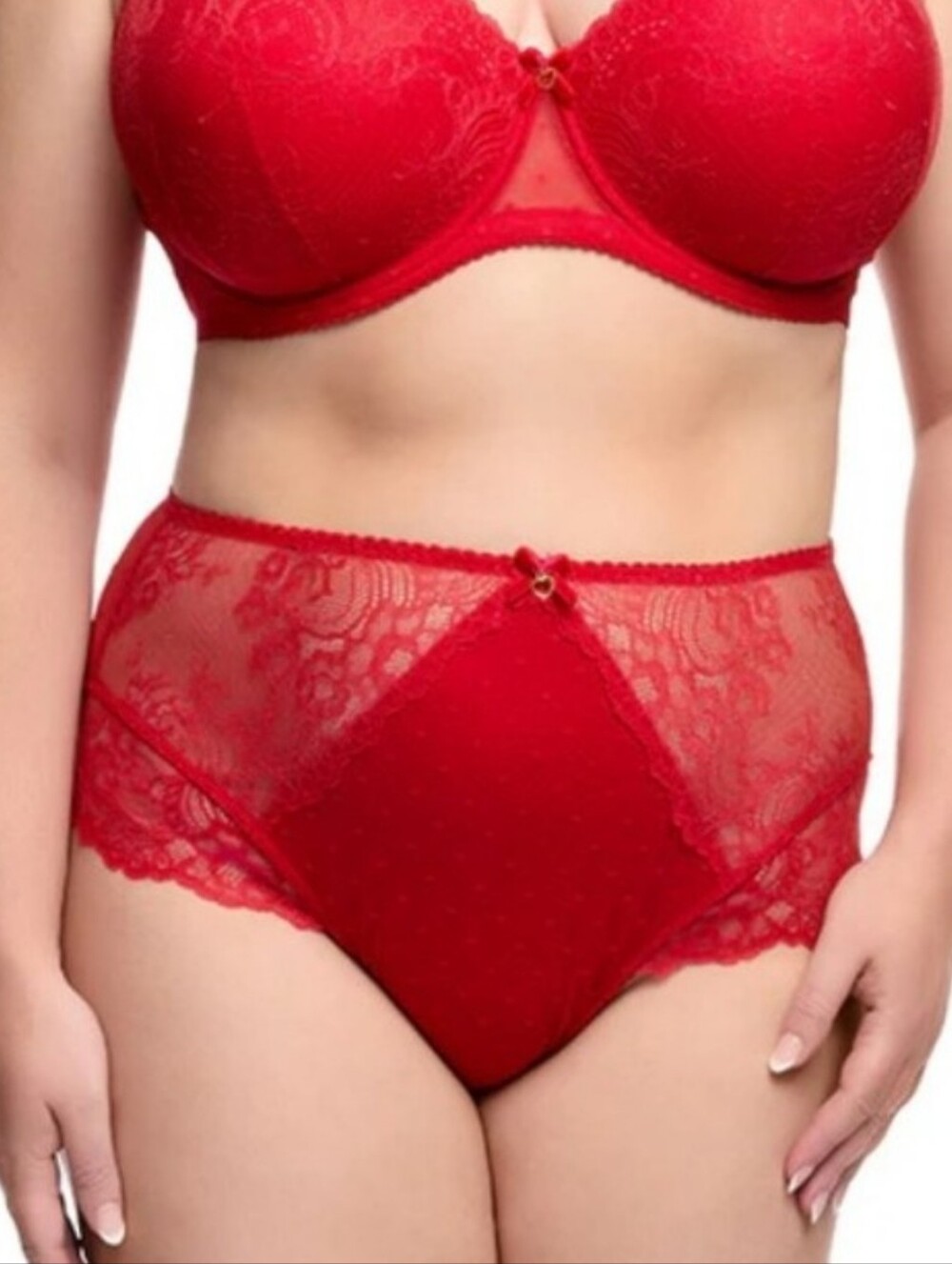Dita Von Teese Fiamma High Waist Brief Rose Red, size small
